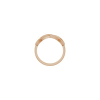 Infinity Ring (Rose 14K) setting - Popular Jewelry - New York