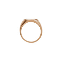 Voyager Compass Signet Ring (Rose 14K) setting - Popular Jewelry - New York