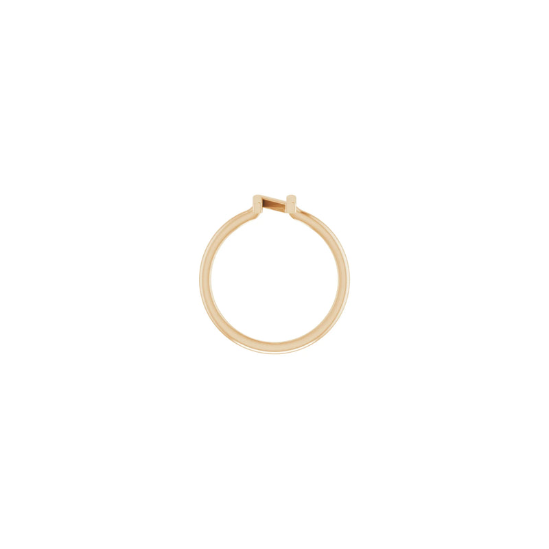 Initial N Ring (Rose 14K) setting - Popular Jewelry - New York