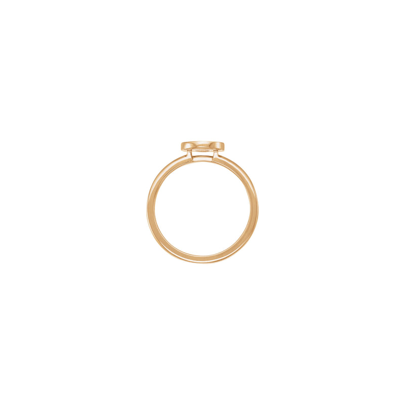 Jesus Face Bordered Signet Ring (Rose 14K) setting - Popular Jewelry - New York