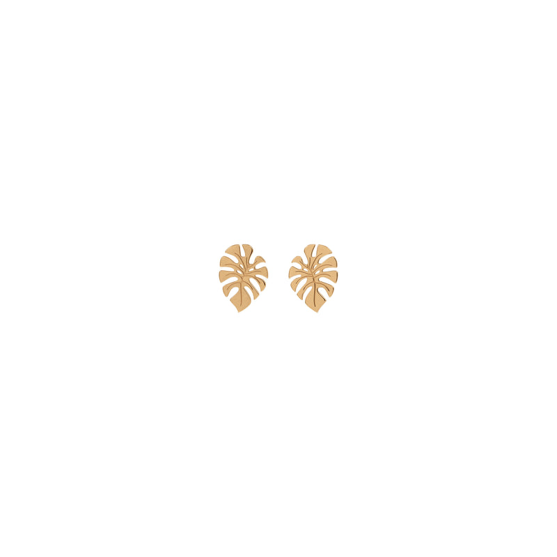 Front view of 14k rose gold monstera leaf earrings