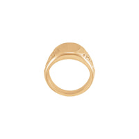 Impostazione Anello con sigillo con accento di scorrimento (Rosa 14K) - Popular Jewelry - New York