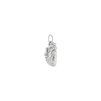 Diagonal view of a 14k white gold Anatomical Heart Pendant