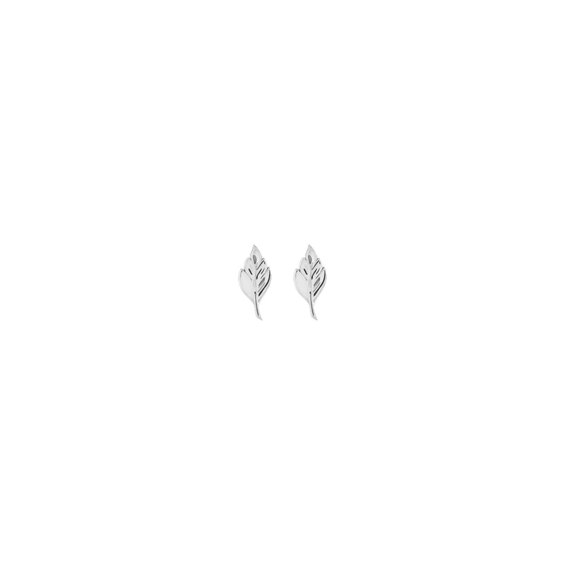 Classic Leaf Stud Earrings (White 14K) front - Popular Jewelry - New York