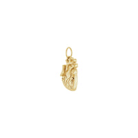 Diagonal view of a 14k yellow gold Anatomical Heart Pendant