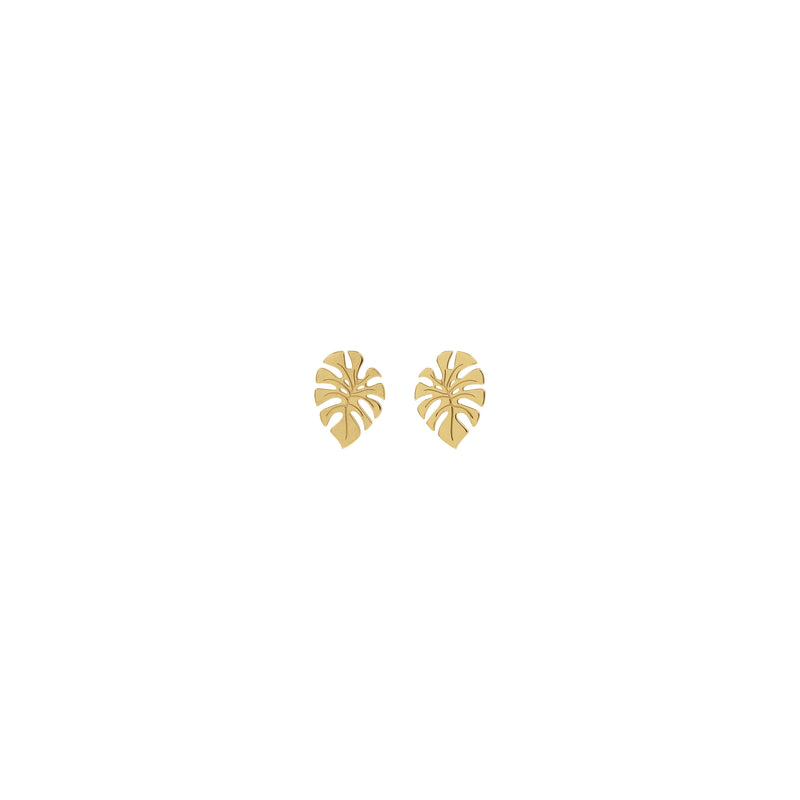 Front view of 14k yellow gold monstera leaf earrings 