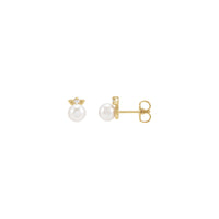 Pearl Pob Zeb Diamond Floral Set Earrings (14K) lub ntsiab - Popular Jewelry - New York