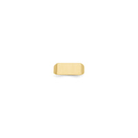 Rectangle Signet Ring (14K)