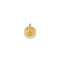 Satin Finish Miraculous Medal Pendant (14K)