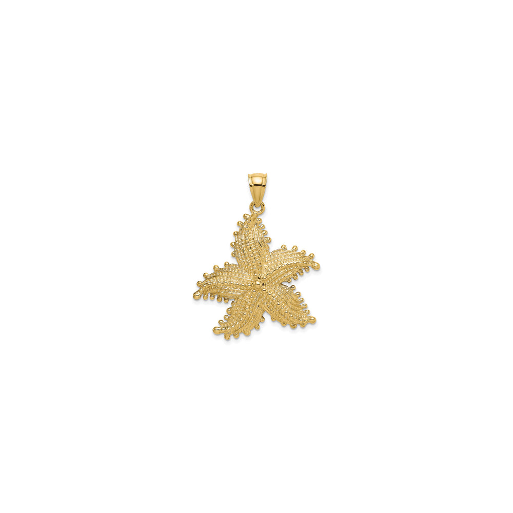 Textured Starfish Pendant (14K)