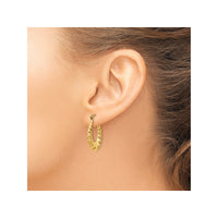 Twisted/Shrimp Hollow Hoop Earrings (14K)