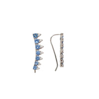 Cubic Zirconia Fish hoop Earrings