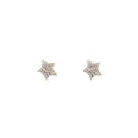 Star Diamond Screw Back Earring (14K)