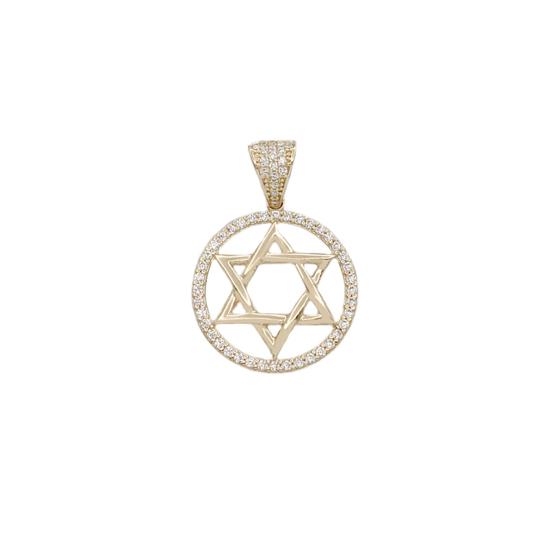 Zirconia Star of David Medallion Pendant (14K)