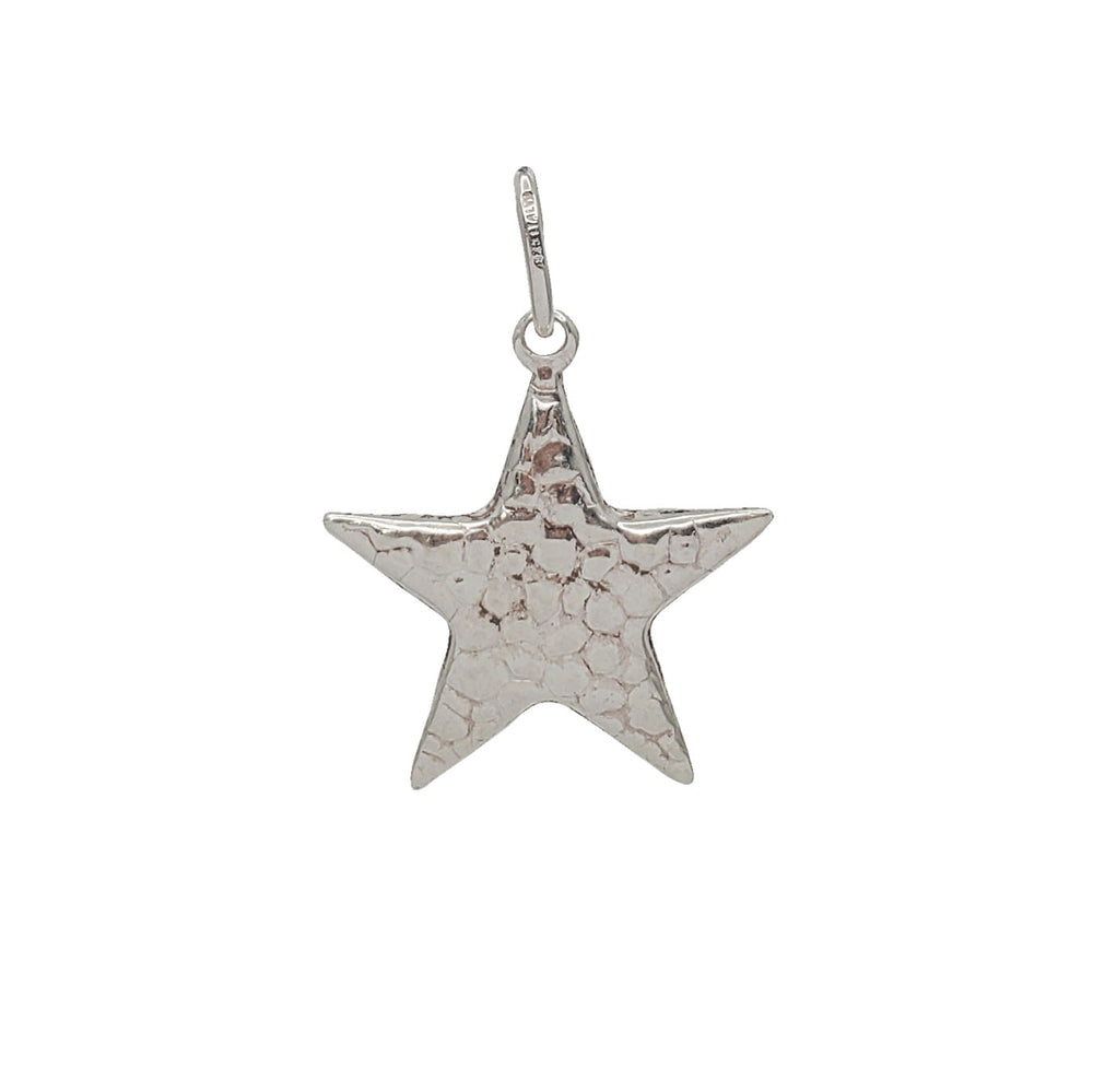 Sea Star Pendant (Silver)