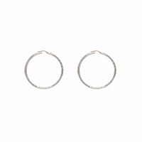 Hoop Earrings (Silver)