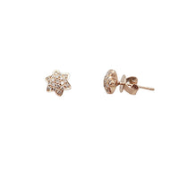 Diamond Star Earrings (14K)