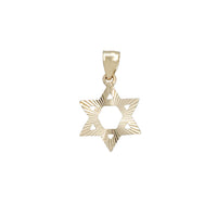 Star of David Diamond Cut Pendant (14K)