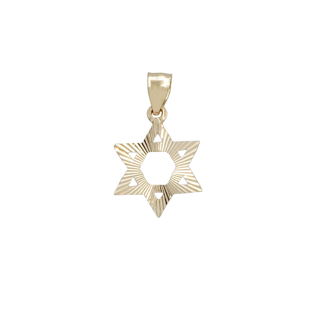 Star of David Diamond Cut Pendant (14K)