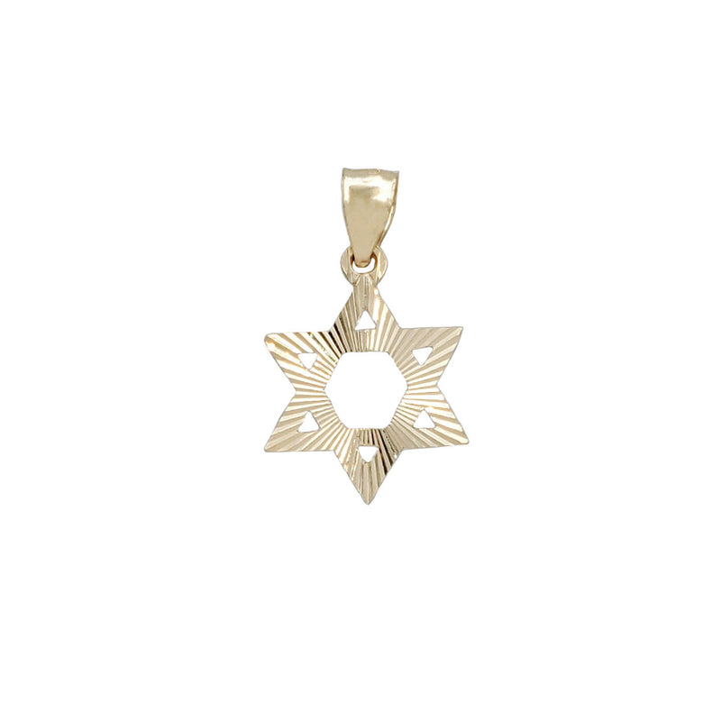 Star of David Diamond Cut Pendant (14K)