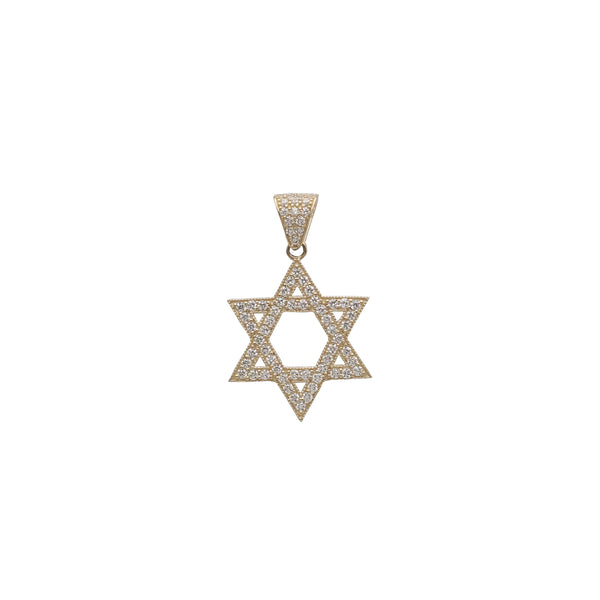 Star of David CZ Pendant (14K)
