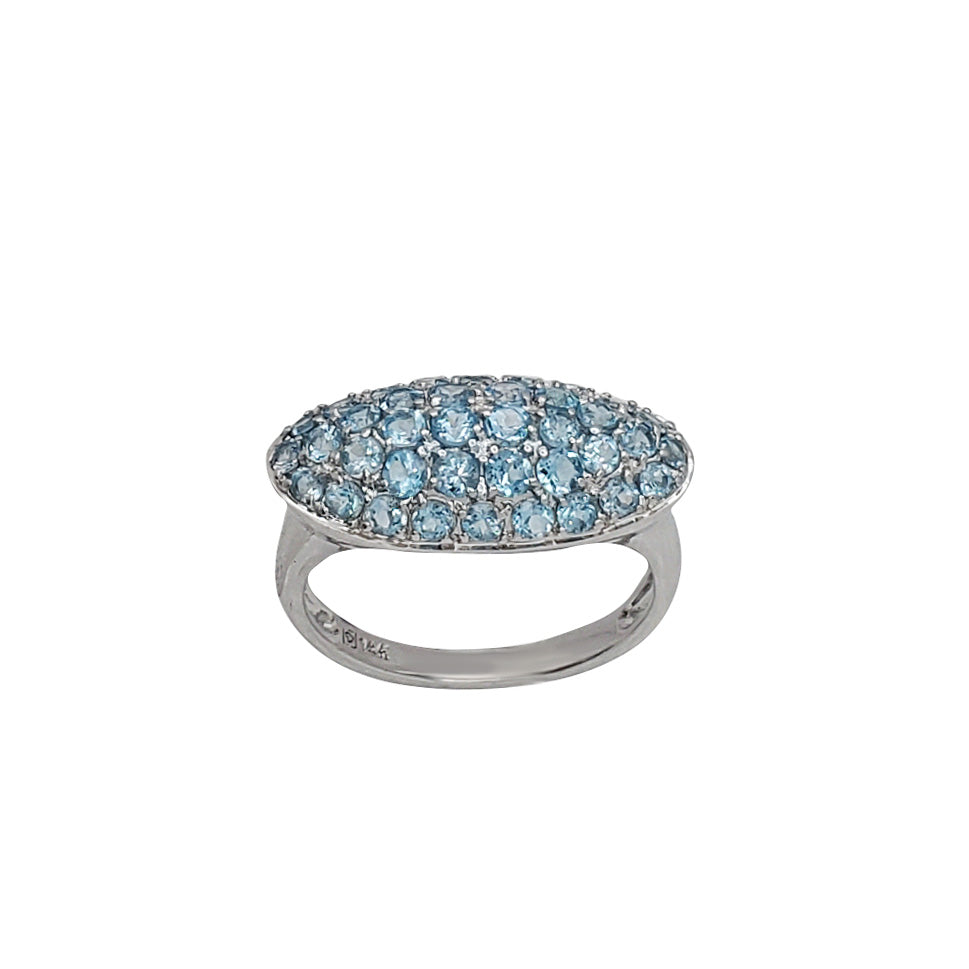 Mhete yeBlue Topaz yeFancy (14K)