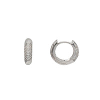 Zirconia Huggie Earring (Silver)