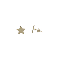 Plain Star Stud Earring (14K)
