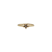 Star Zirconia Ring (14K)