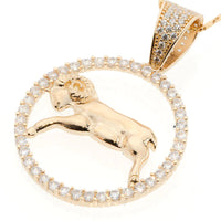 Capricorn Zodiac Constellation Pendant