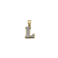 Two-Tone Double-Layered Textured Initial Pendant (14K)