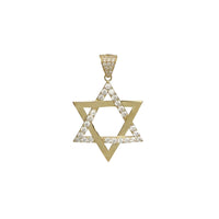 Iced Out Star Of David Pendant (14K)