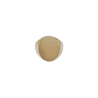 Oval Signet Ring (14K)
