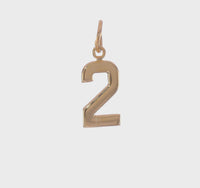 Varsity Number 2 Pendant (14K) 360 - Popular Jewelry - New York