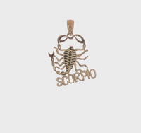 Scorpio Zodiac Sign Symbol Pendant (14K)