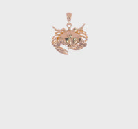 Akmens krabju kulons (14K) 360 - Popular Jewelry - Ņujorka