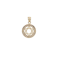 Zirconia Star of David Medallion Pendant (10K)