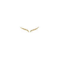 Scroll Wing Ear Climber Earrings yellow (10K) set - Popular Jewelry - New York