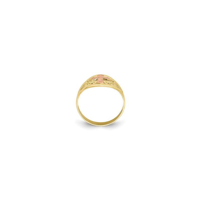 Triple Passion Ring (10K) setting - Popular Jewelry - New York