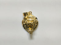 മധ്യഭാഗത്ത്: പ്ലെയിൻ 10, 14 കാരറ്റ് സ്വർണ്ണ ഓപ്ഷനുകളുള്ള ഒരു സിംഹ തല പെൻഡന്റ് മുൻവശത്ത് - Popular Jewelry