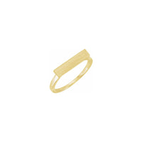 Bar Signet Ring yellow (14K) brushed main - Popular Jewelry - Novjorko