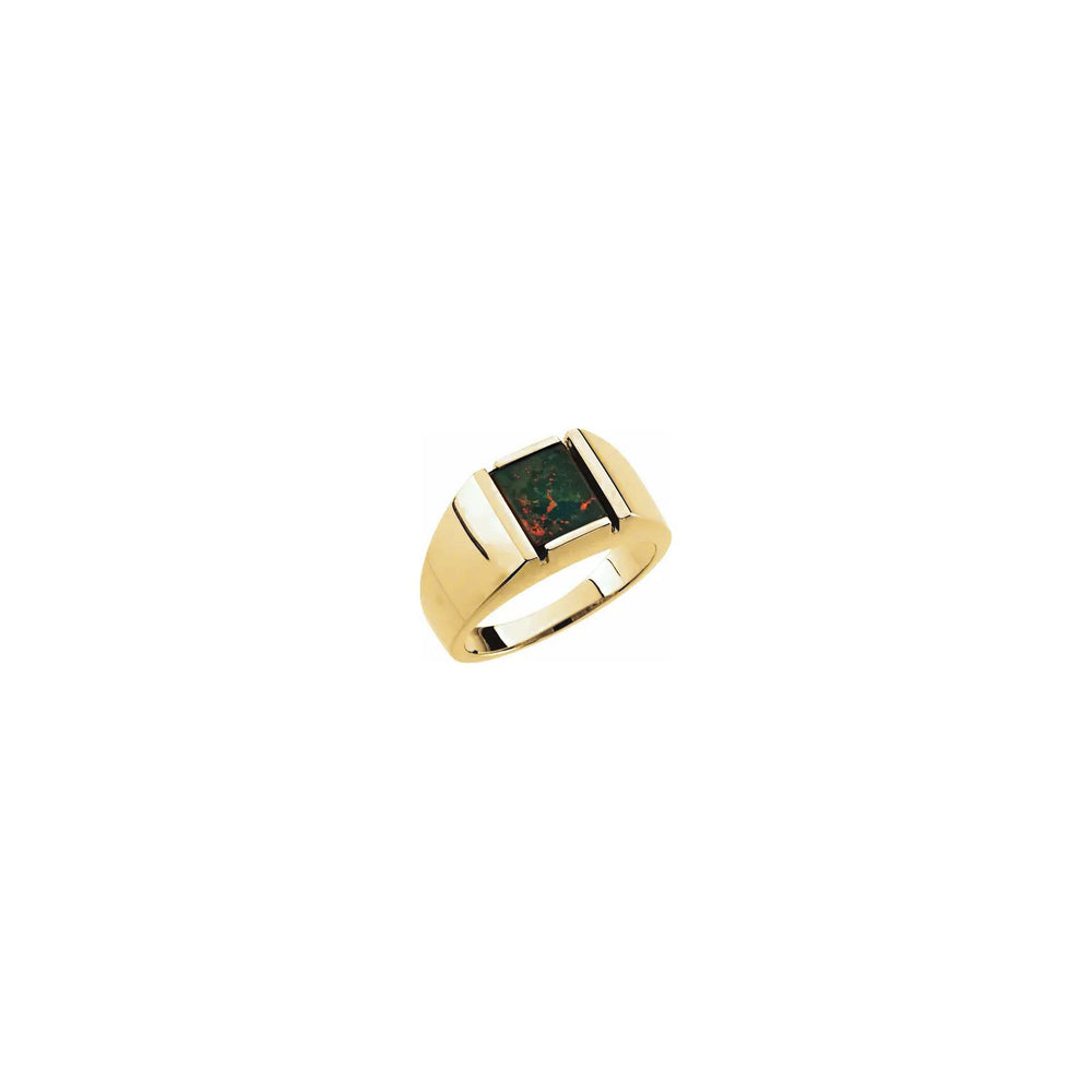 Bloodstone Ring (14K) main - Popular Jewelry - New York