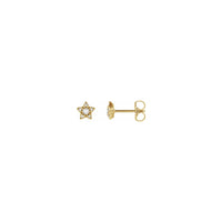 Naušnice s dijamantnim zvijezdama žute (14K) glavna - Popular Jewelry - New York