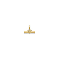 Diploma 3D Pendant (14K) front - Popular Jewelry - New York