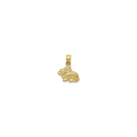 Прывабны кулон з трусам з баваўнянага хваста (14K) спераду - Popular Jewelry - Нью-Ёрк