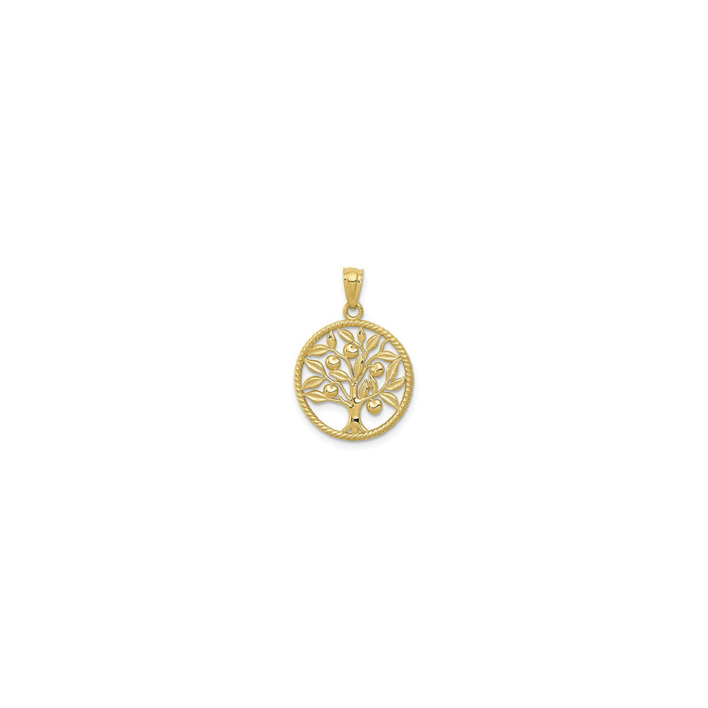 Family Apple Tree Rope Circle Pendant (14K) front - Popular Jewelry - New York