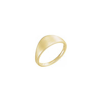 ʻO Geometric Signet Ring melemele (14K) main - Popular Jewelry - Nuioka
