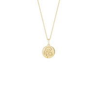 Lovely Mother with Baby Medallion Necklace yellow (14K) front - Popular Jewelry - New York