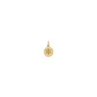 Star of Life Medical Symbol Pendant (14K) front - Popular Jewelry - Novjorko