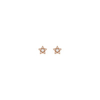 Серьги-гвоздики Diamond Star rose (14K) спереди - Popular Jewelry - Нью-Йорк